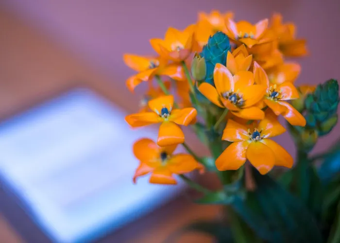 Апарт-отель Belmonte Lr Collection Палермо